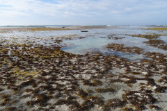 DSC02265