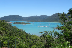 DSC02407