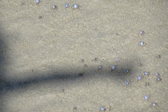 DSC02471