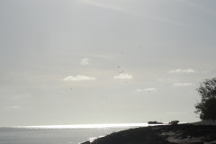 DSC02887